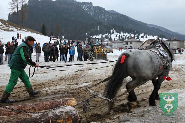Preteky gazdovských koní 2019-348