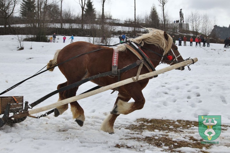 Preteky gazdovských koní 2019-79