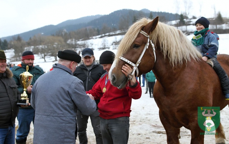Preteky gazdovských koní 2019-378