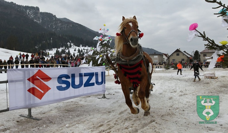 Preteky gazdovských koní 2019-158