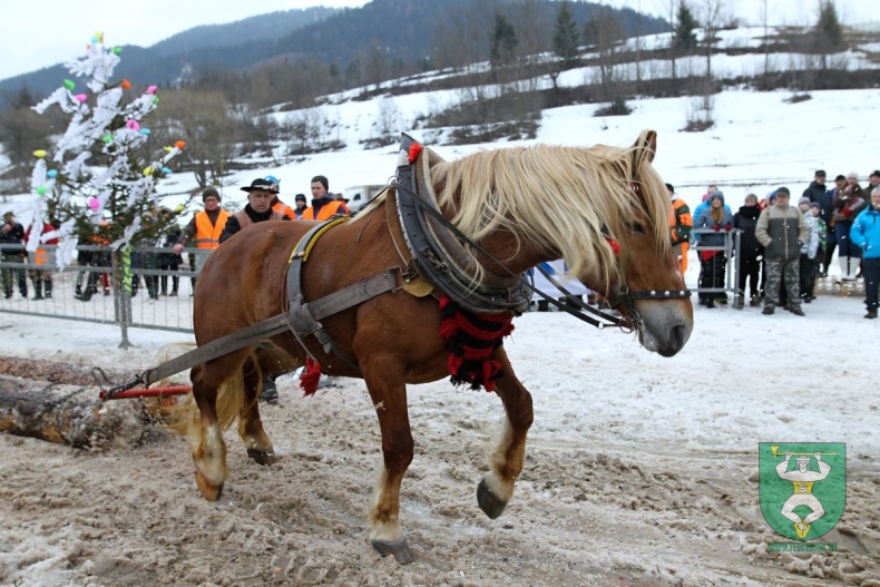 Preteky gazdovských koní 2019-355