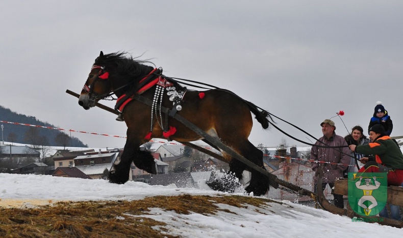 Preteky gazdovských koní 2019-493