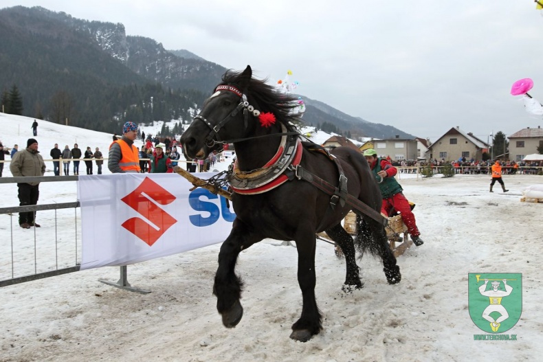 Preteky gazdovských koní 2019-137