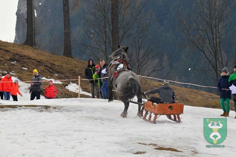 Preteky gazdovských koní 2019-450