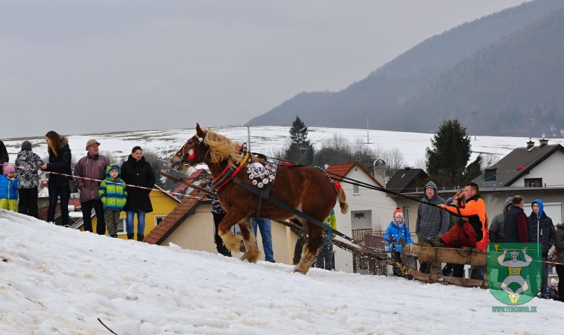 Preteky gazdovských koní 2019-474
