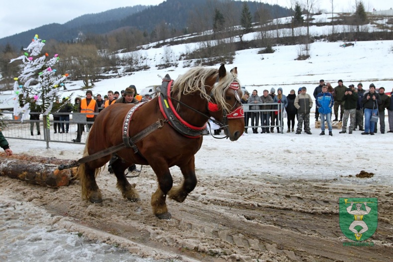 Preteky gazdovských koní 2019-349