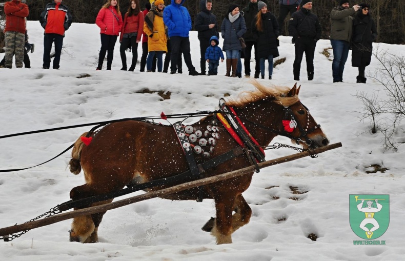 Preteky gazdovských koní 2019-478