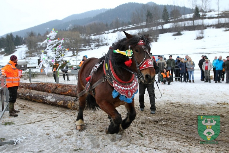 Preteky gazdovských koní 2019-385
