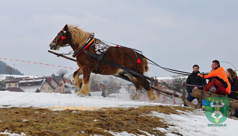 Preteky gazdovských koní 2019-475