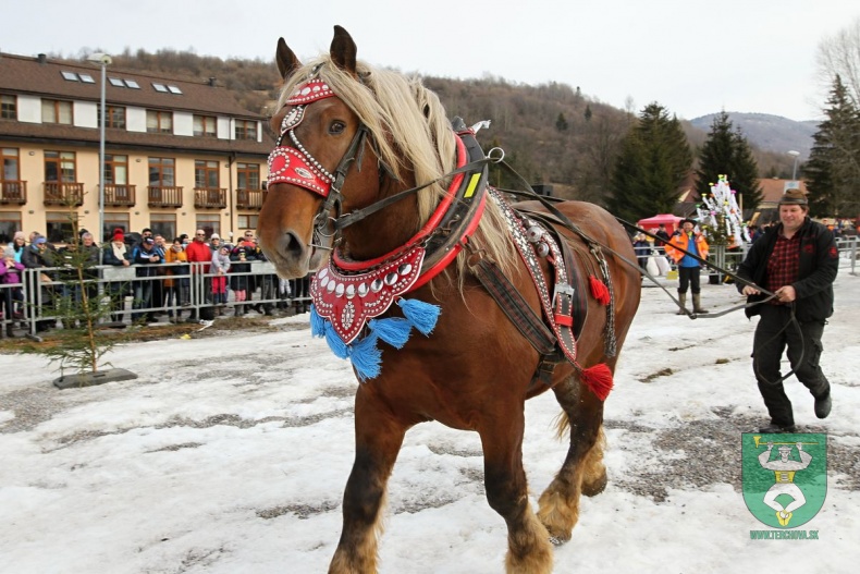 Preteky gazdovských koní 2019-25