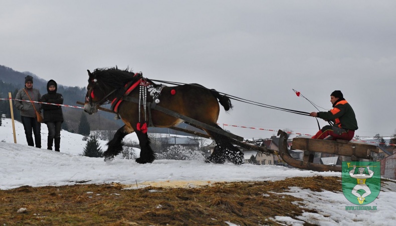 Preteky gazdovských koní 2019-494