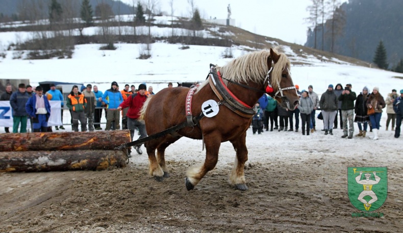 Preteky gazdovských koní 2019-390