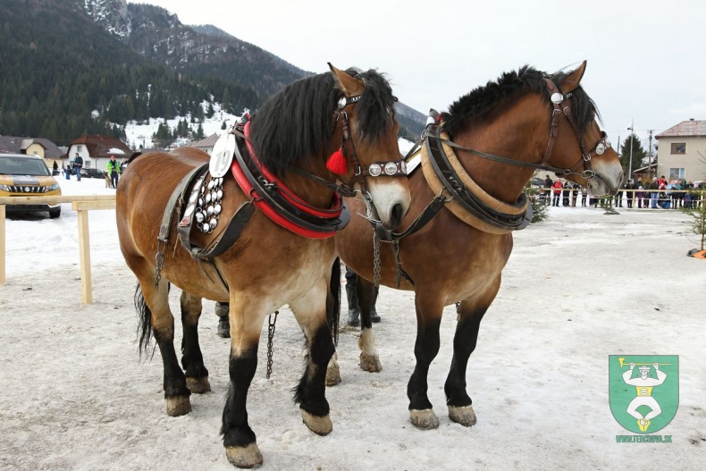 Preteky gazdovských koní 2019-23