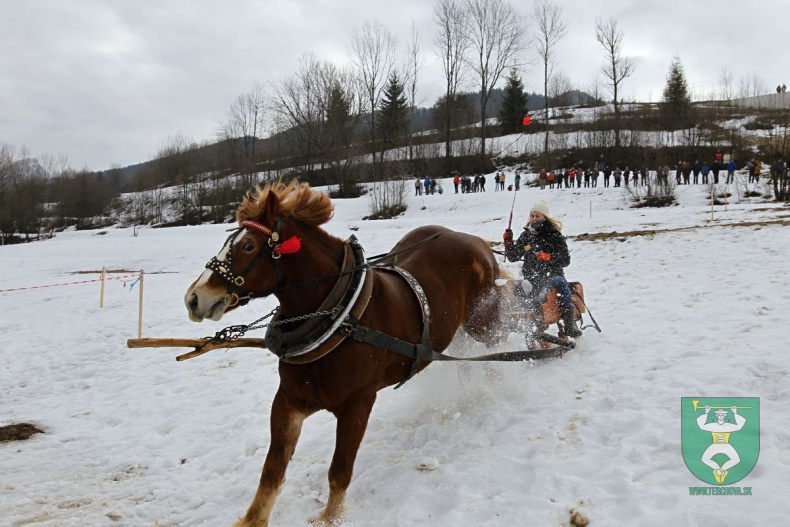 Preteky gazdovských koní 2019-52