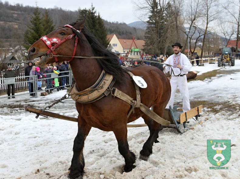 Preteky gazdovských koní 2019-143