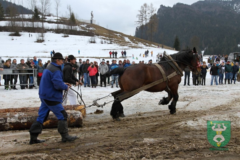 Preteky gazdovských koní 2019-342