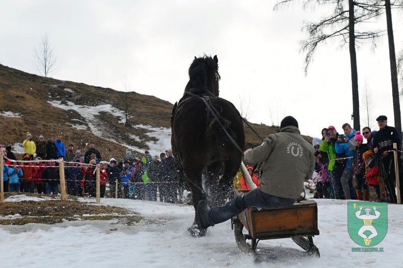 Preteky gazdovských koní 2019-467