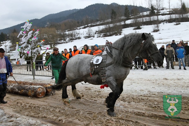 Preteky gazdovských koní 2019-346