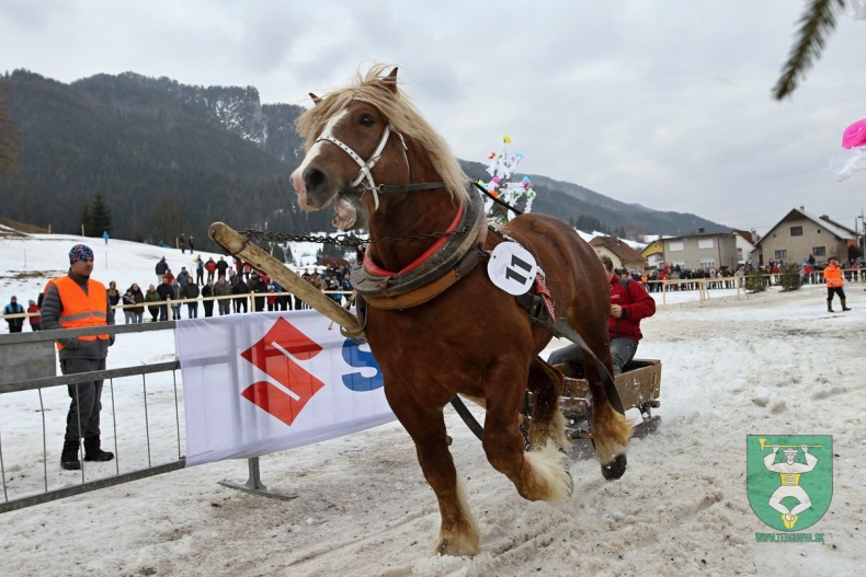 Preteky gazdovských koní 2019-156