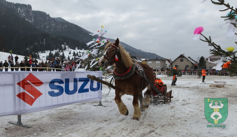 Preteky gazdovských koní 2019-160