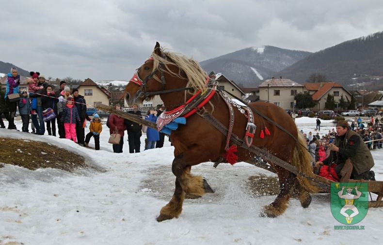 Preteky gazdovských koní 2019-62