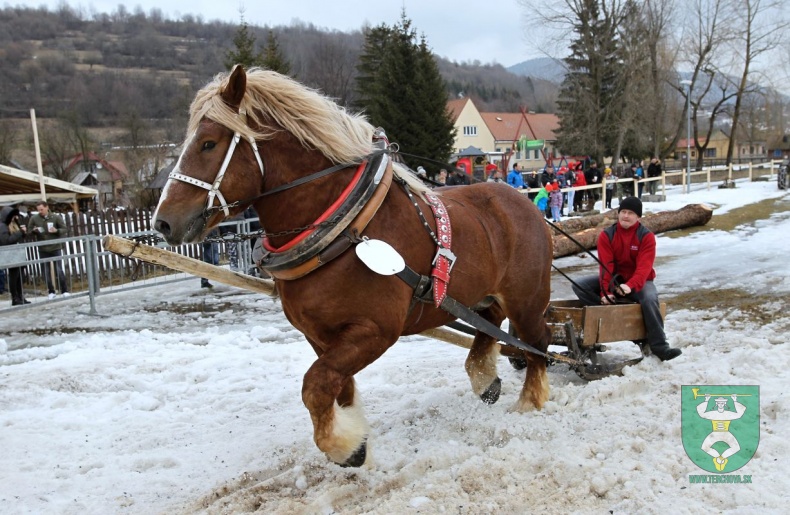 Preteky gazdovských koní 2019-154