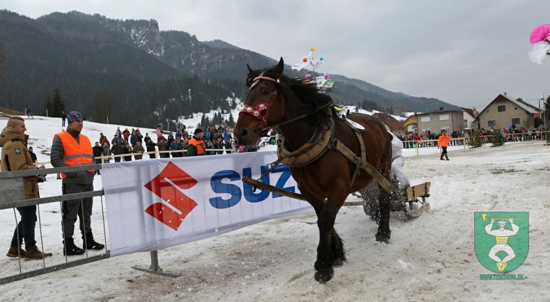 Preteky gazdovských koní 2019-144