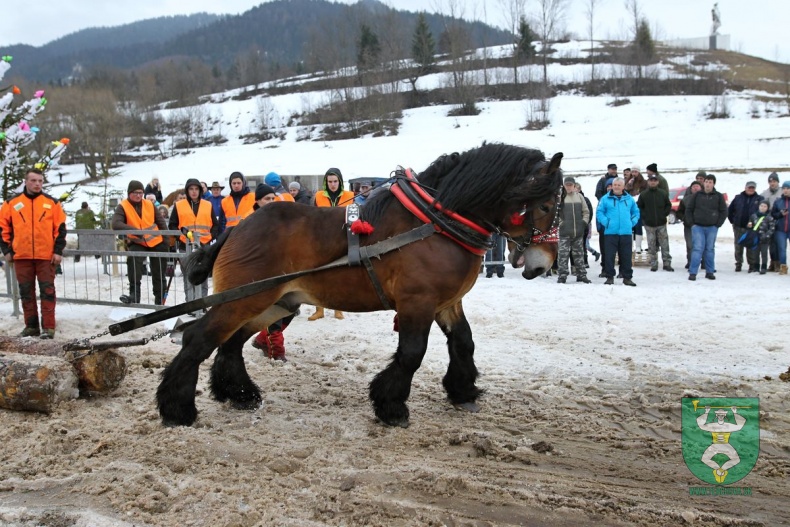 Preteky gazdovských koní 2019-362