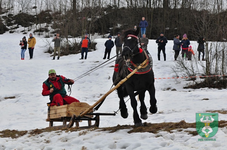 Preteky gazdovských koní 2019-461