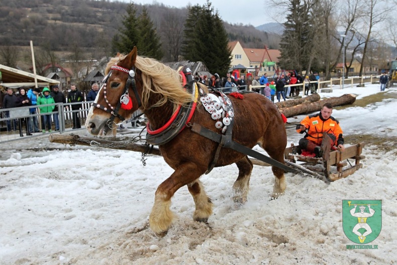 Preteky gazdovských koní 2019-159