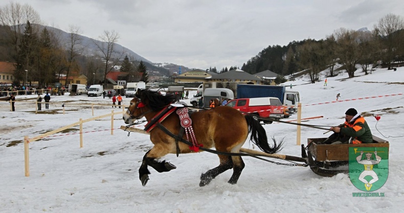 Preteky gazdovských koní 2019-115