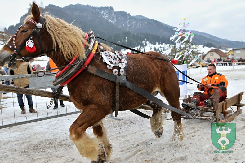Preteky gazdovských koní 2019-162