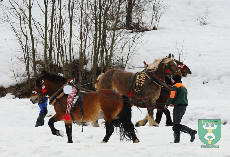 Preteky gazdovských koní 2019-443