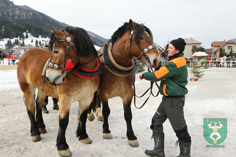 Preteky gazdovských koní 2019-24