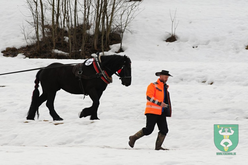 Preteky gazdovských koní 2019-445