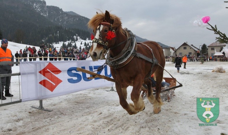 Preteky gazdovských koní 2019-147