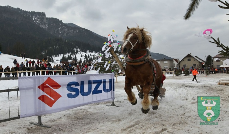 Preteky gazdovských koní 2019-155