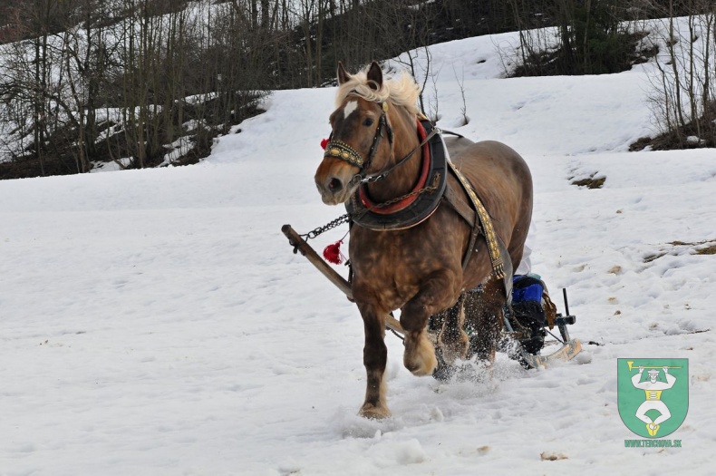 Preteky gazdovských koní 2019-466