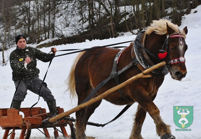 Preteky gazdovských koní 2019-482