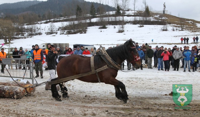 Preteky gazdovských koní 2019-340