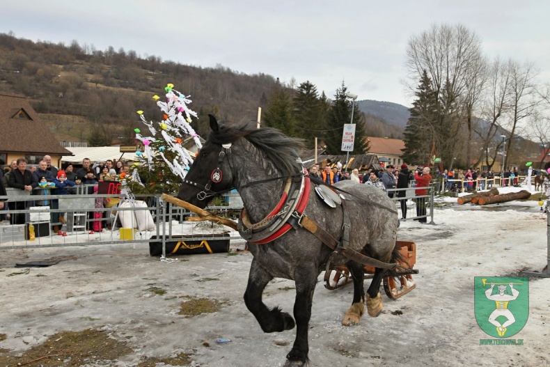 Preteky gazdovských koní 2019-43