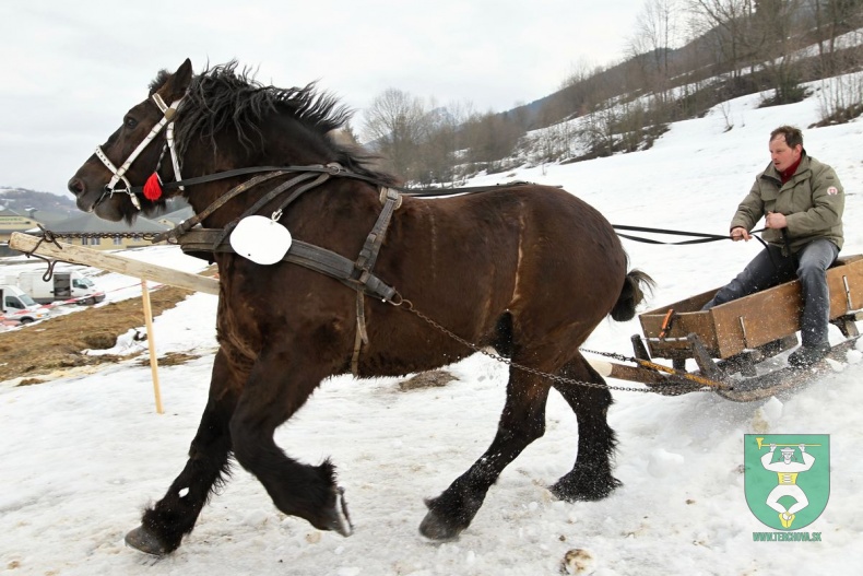 Preteky gazdovských koní 2019-45