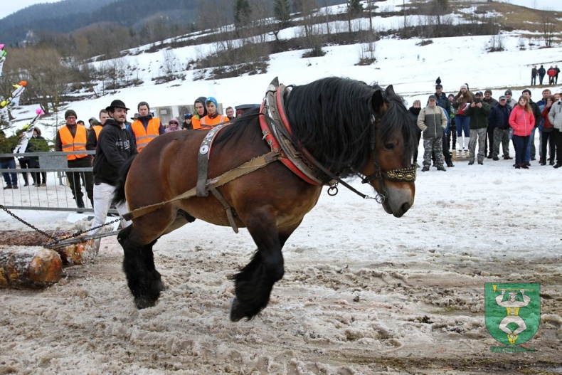 Preteky gazdovských koní 2019-343