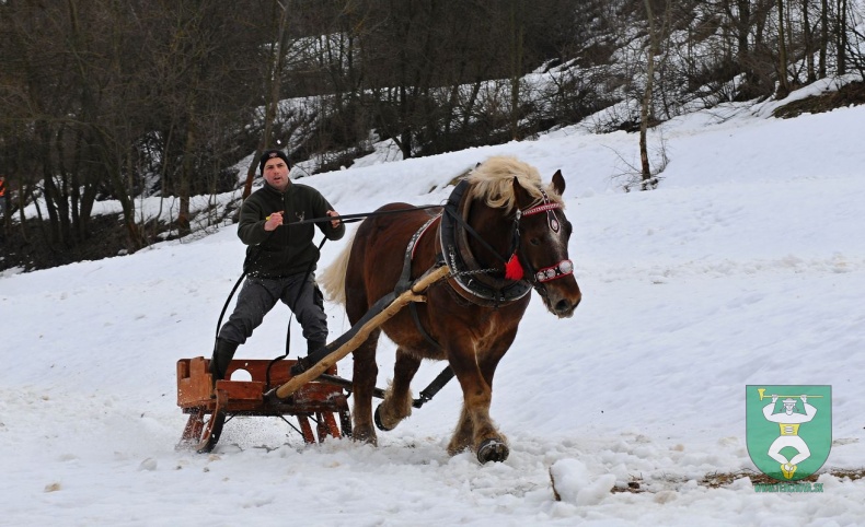 Preteky gazdovských koní 2019-480