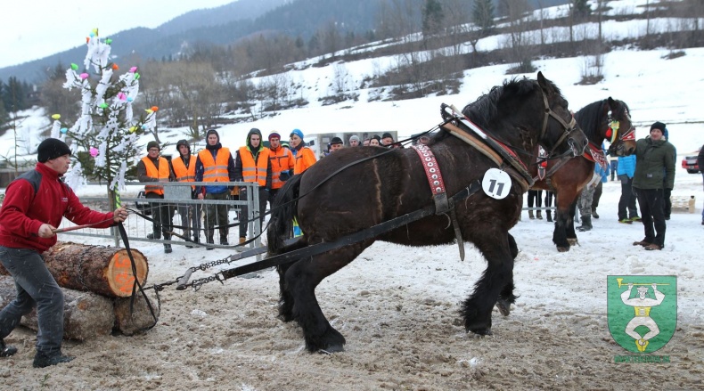 Preteky gazdovských koní 2019-384