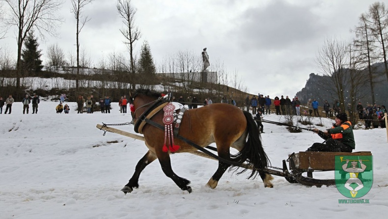 Preteky gazdovských koní 2019-99