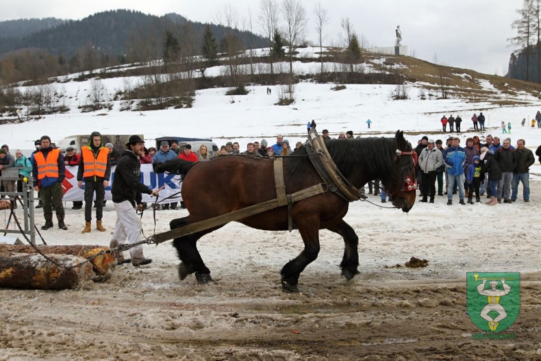 Preteky gazdovských koní 2019-341