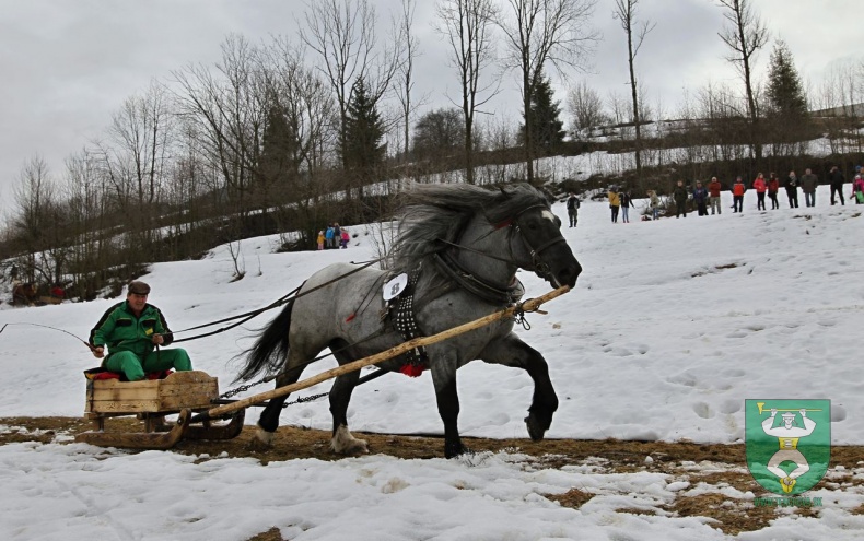 Preteky gazdovských koní 2019-72