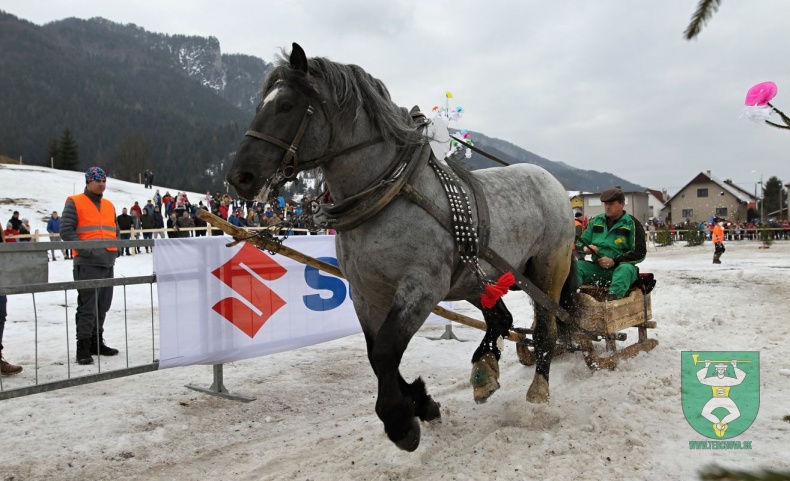 Preteky gazdovských koní 2019-151