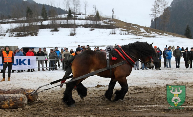 Preteky gazdovských koní 2019-363